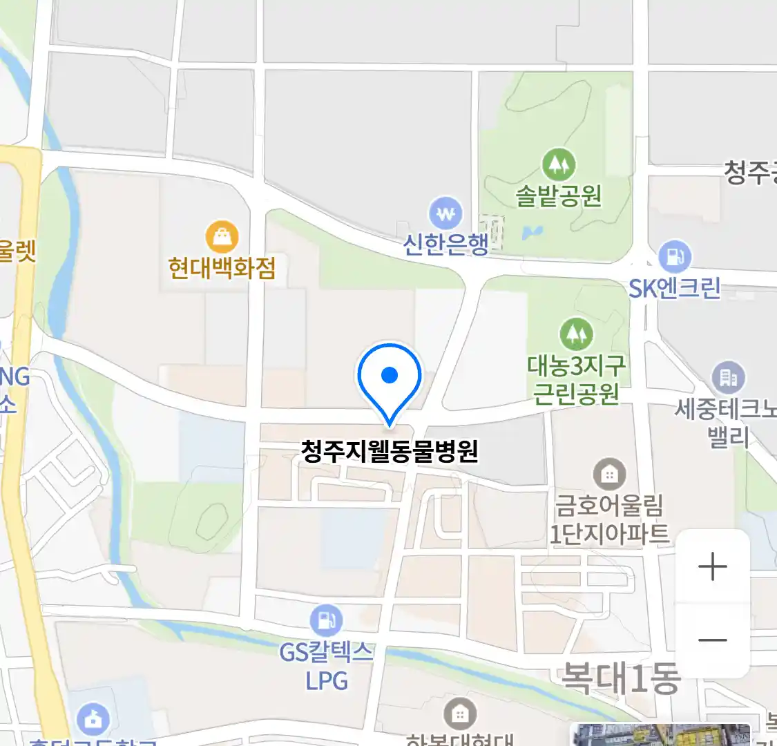 청주지웰동물병원 위치