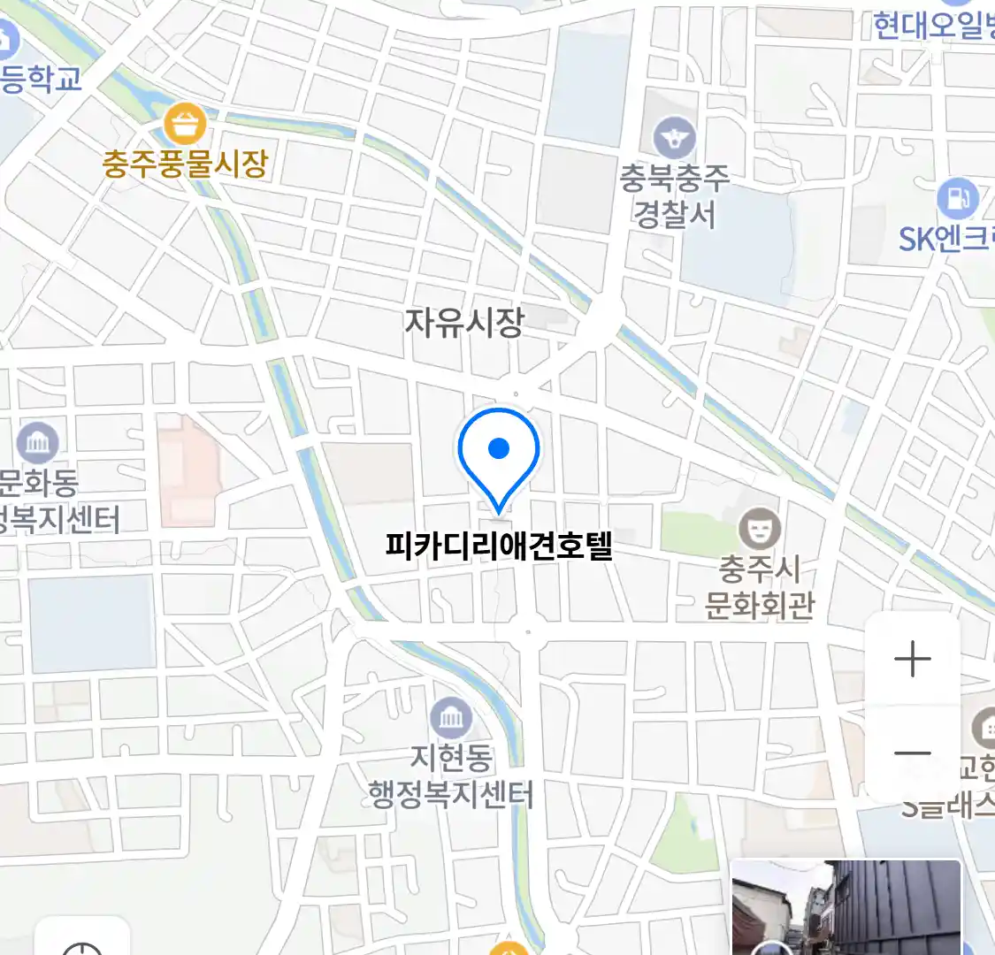피카디리애견호텔 위치