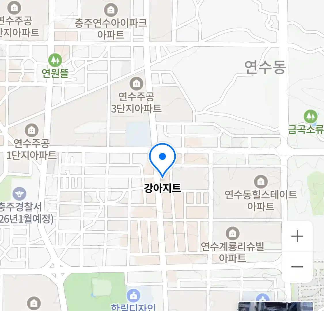 강아지트 위치