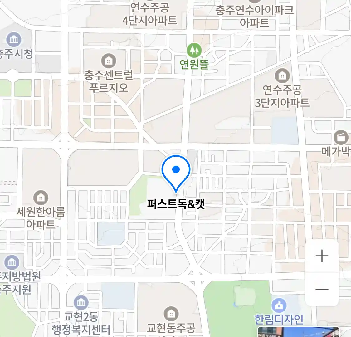 퍼스트독캣 위치