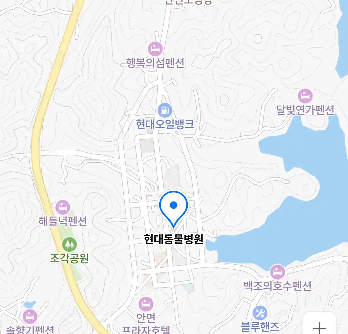 현대동물병원 위치