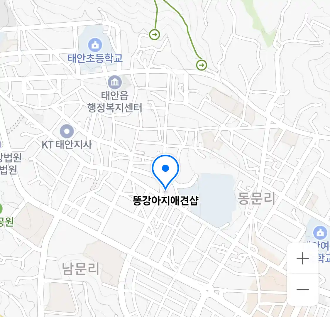 똥강아지애견샵 위치