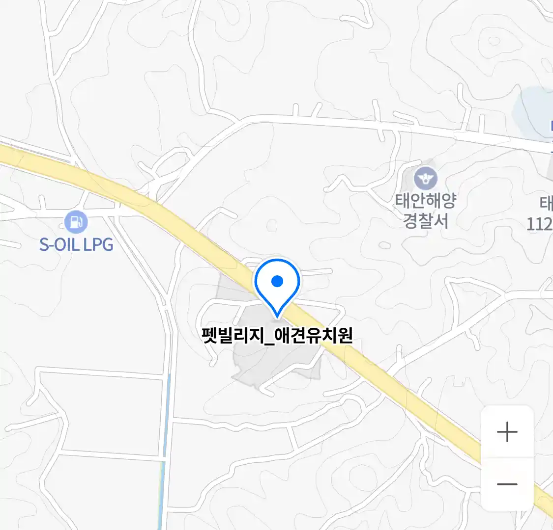 펫빌리지_애견유치원 위치