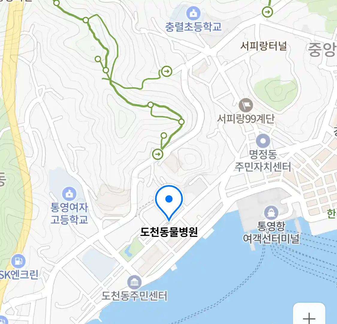 도천동물병원 위치