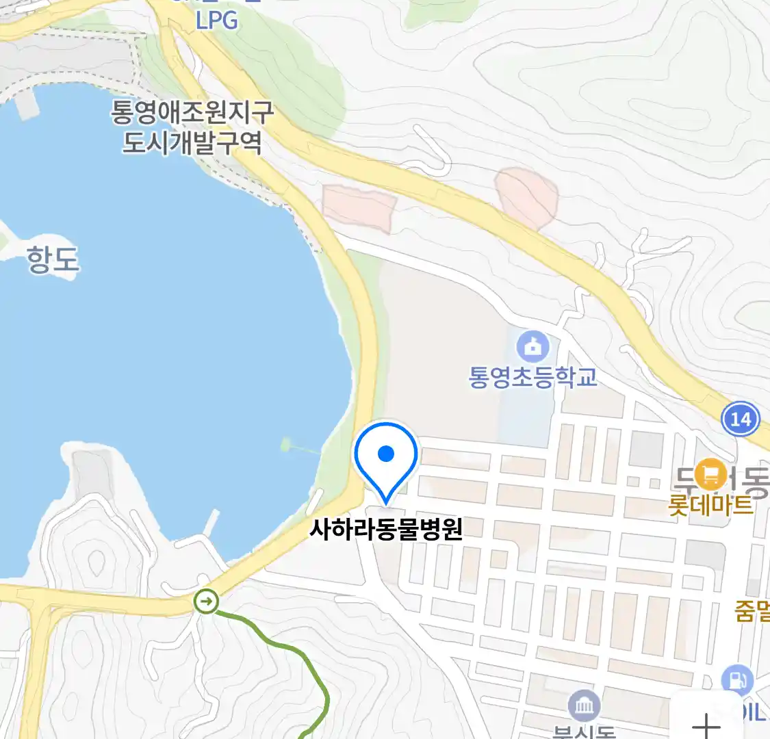 사하라동물병원 위치