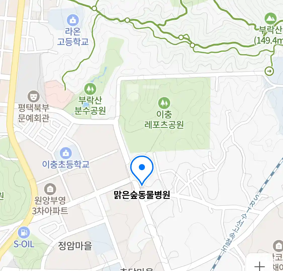 맑은숲동물병원 위치