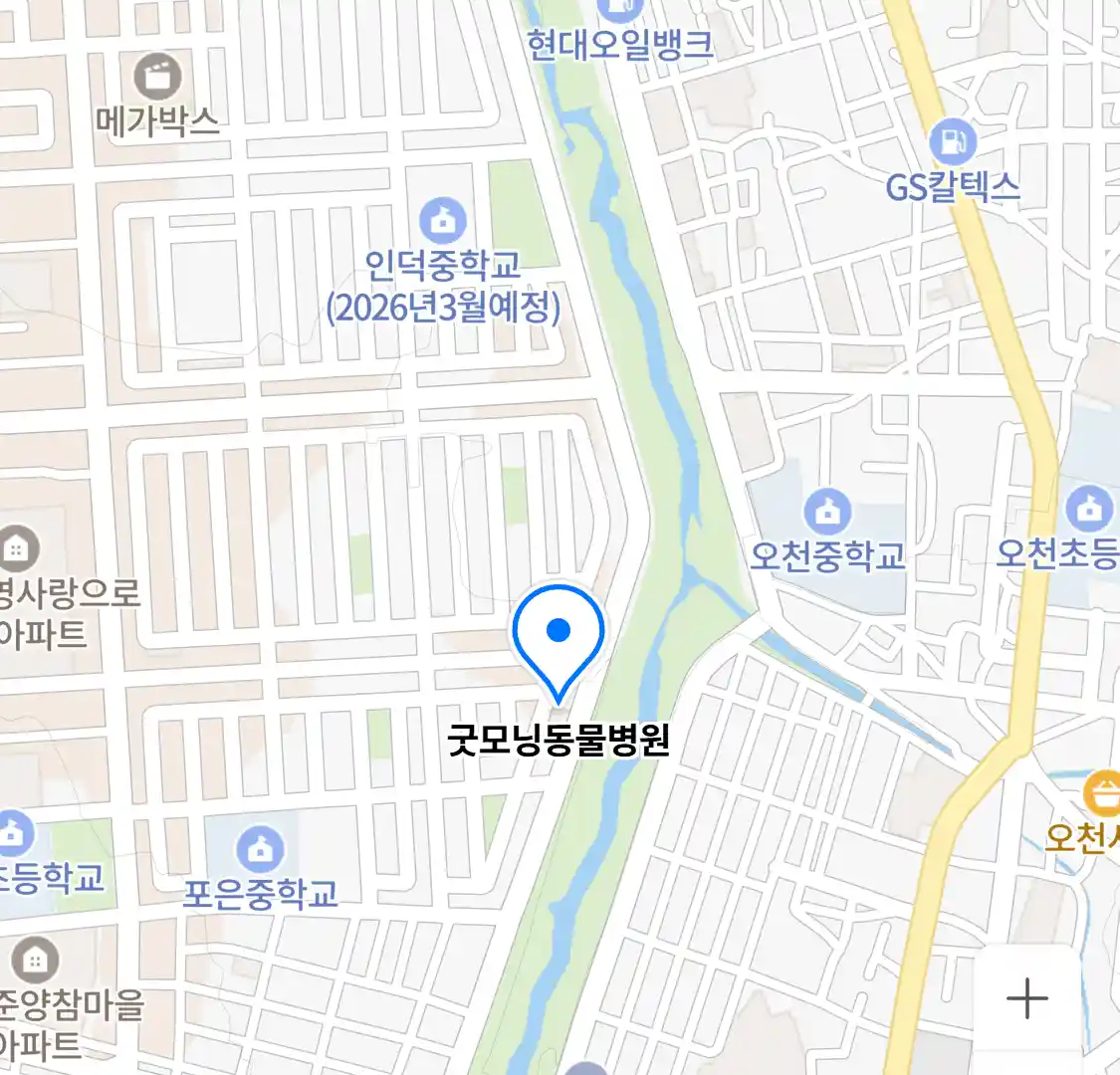 굿모닝동물병원 위치