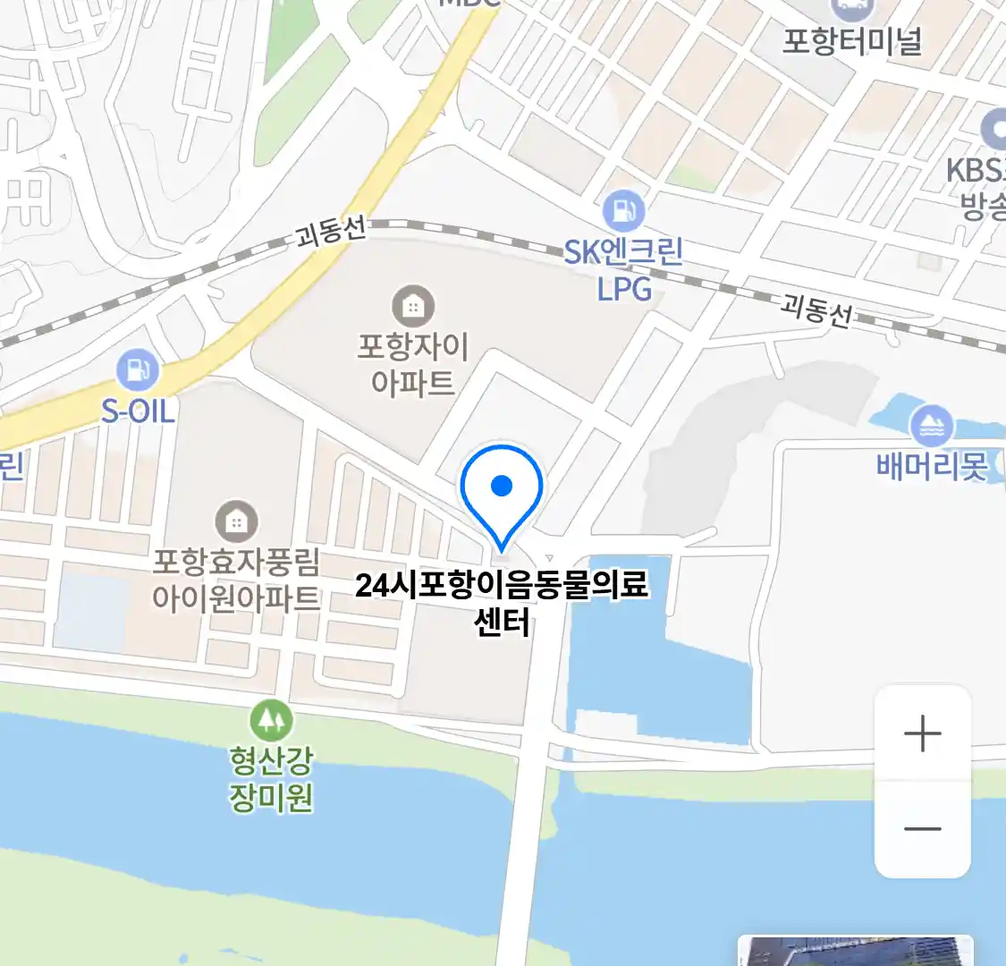 24시포항이음동물의료센터 위치