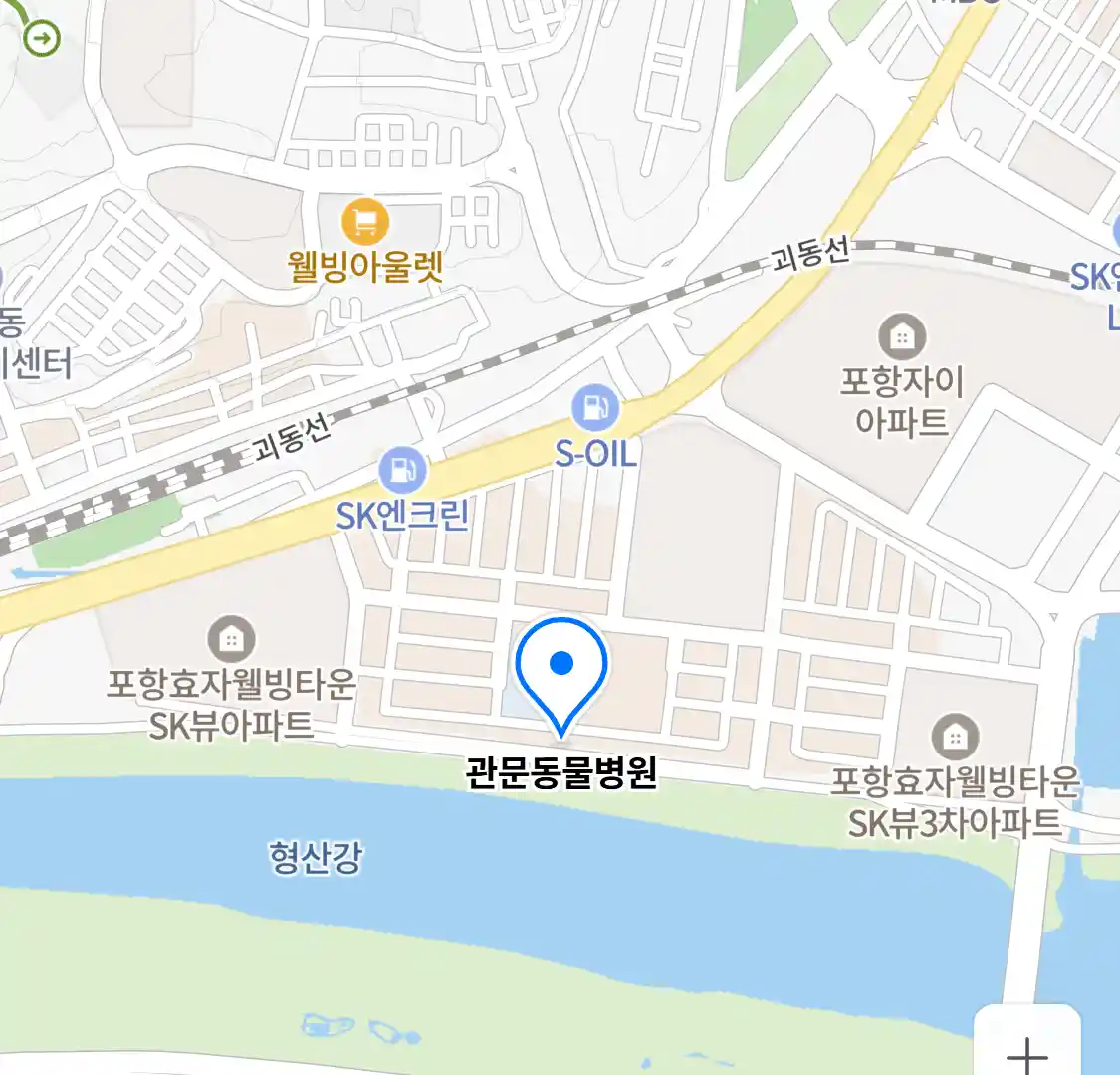 관문동물병원 위치