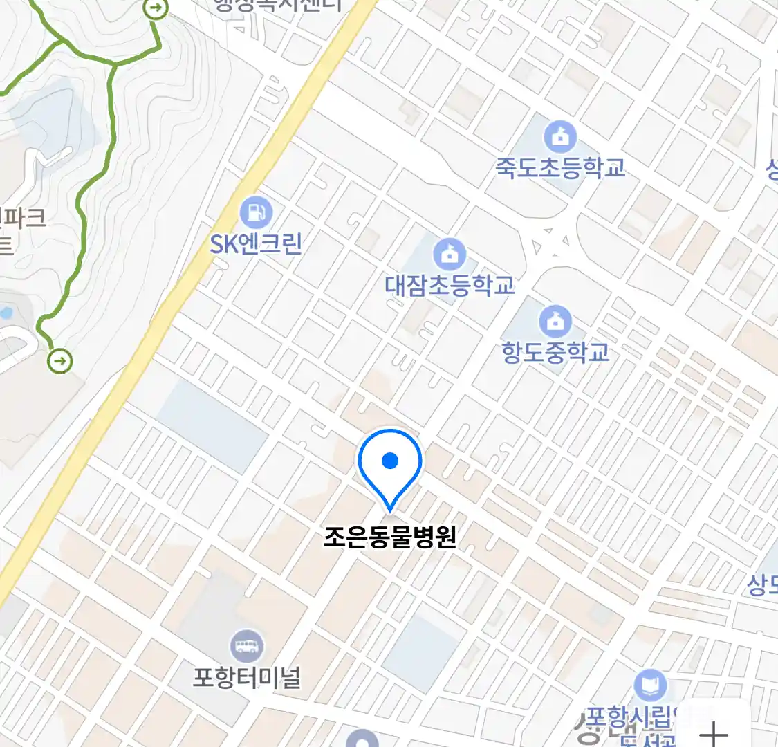 조은동물병원 위치