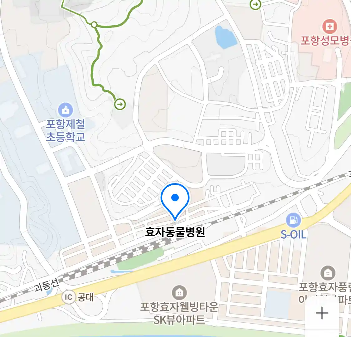 효자동물병원 위치