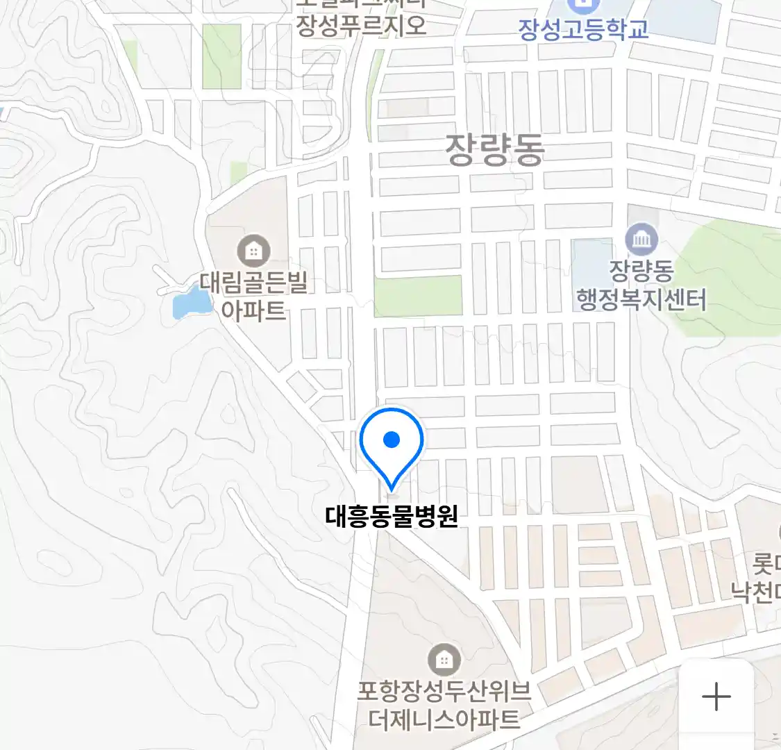 대흥동물병원 위치