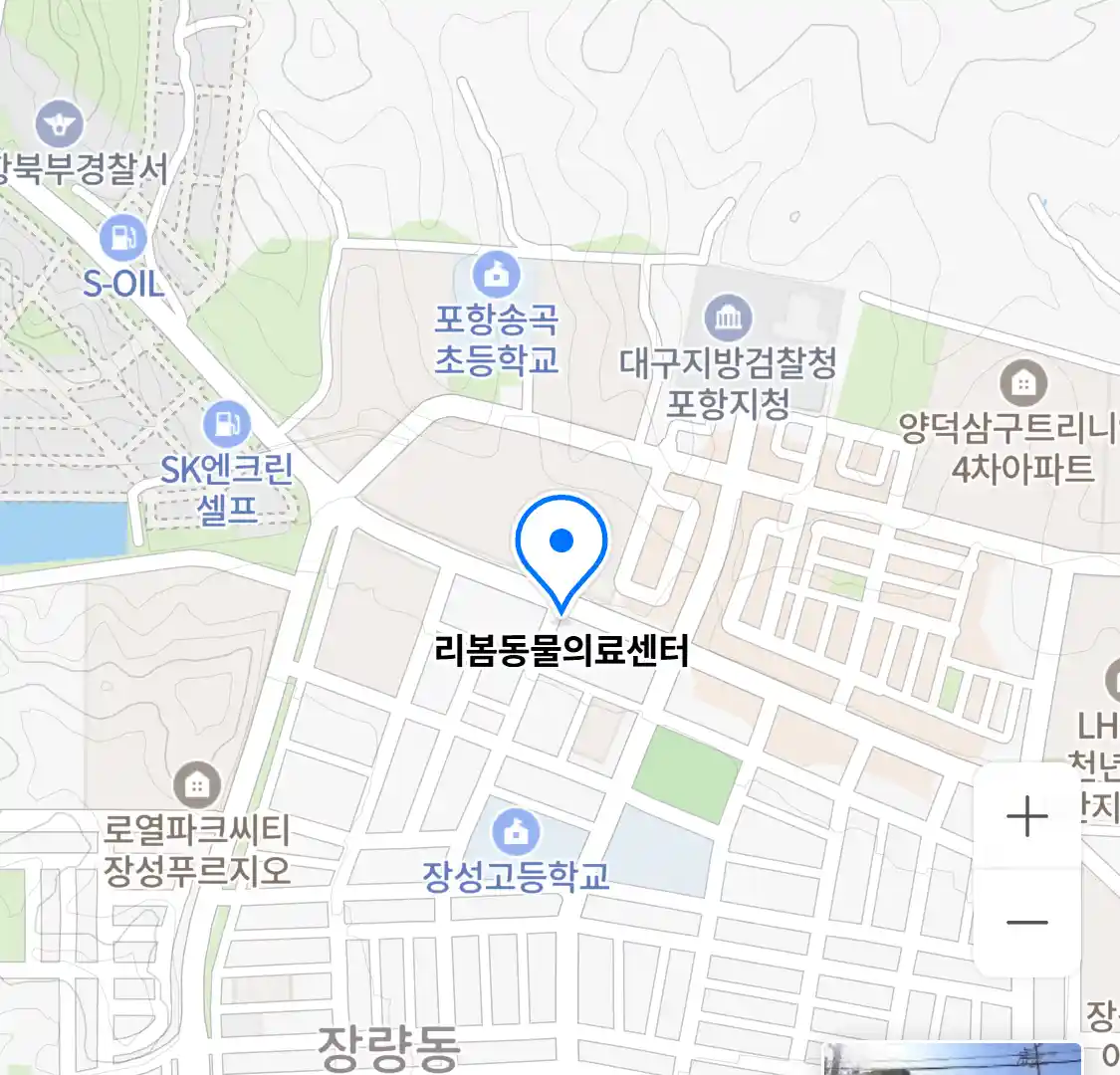 리봄동물의료센터 위치