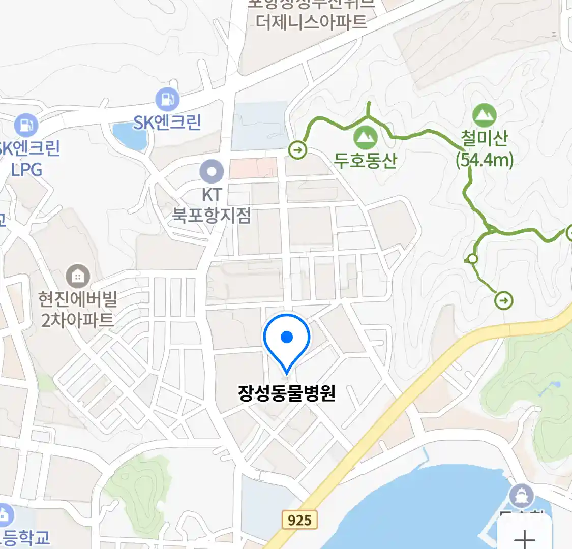 장성동물병원 위치