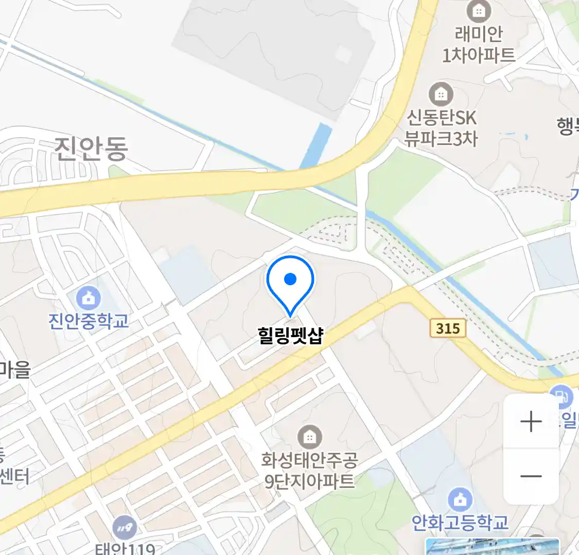 힐링펫샵 위치
