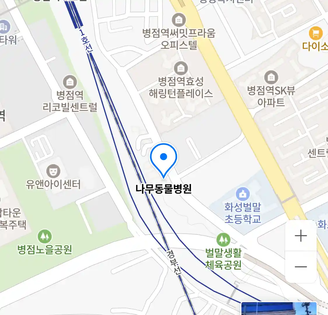 나무동물병원 위치