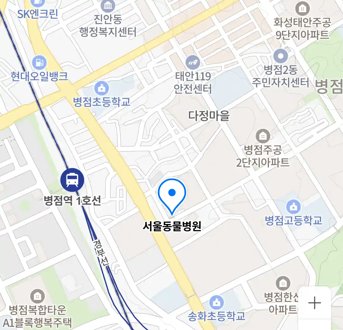 서울동물병원 위치