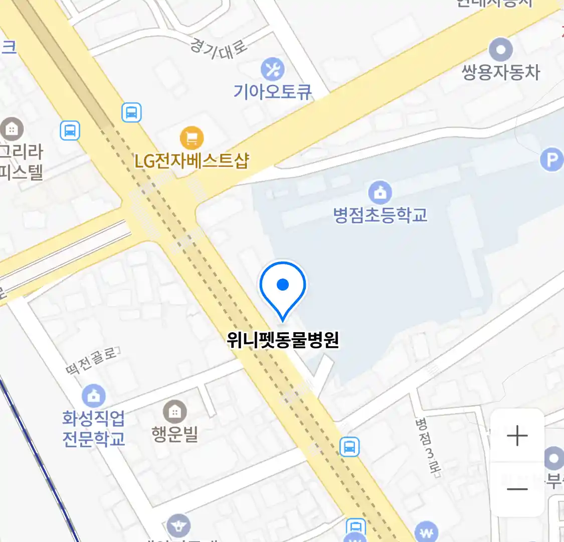 위니펫동물병원 위치