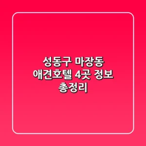 성동구 마장동 애견호텔 4곳 정보 총정리