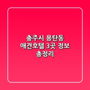 충주시 용탄동 애견호텔 3곳 정보 총정리