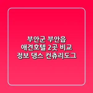 부안군 부안읍 애견호텔 2곳 비교 정보 - 댕스, 컨츄리도그