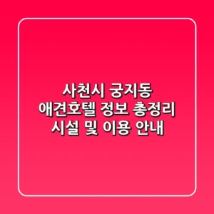 사천시 궁지동 애견호텔 정보 총정리 - 시설 및 이용 안내