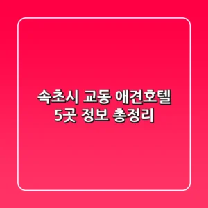 속초시 교동 애견호텔 5곳 정보 총정리