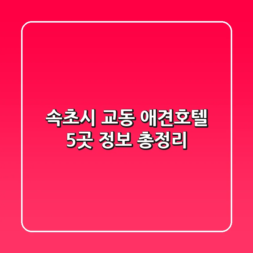 속초시 교동 애견호텔 5곳 정보 총정리