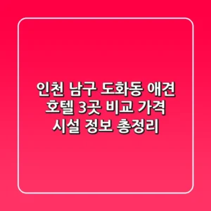 인천 남구 도화동 애견 호텔 3곳 비교 - 가격, 시설, 정보 총정리