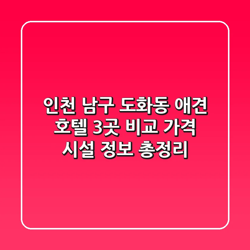 인천 남구 도화동 애견 호텔 3곳 비교 - 가격, 시설, 정보 총정리