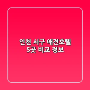 인천 서구 애견호텔 5곳 비교 정보