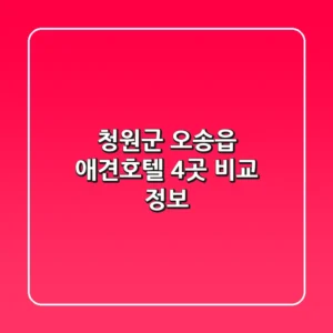 청원군 오송읍 애견호텔 4곳 비교 정보