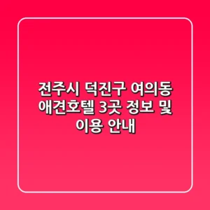 전주시 덕진구 여의동 애견호텔 3곳 정보 및 이용 안내