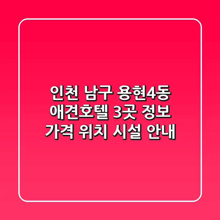 인천 남구 용현4동 애견호텔 3곳 정보: 가격, 위치, 시설 안내