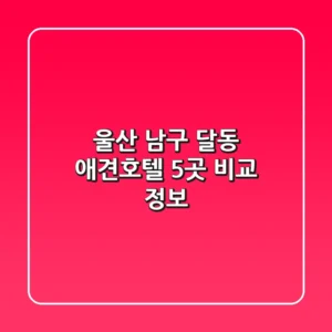 울산 남구 달동 애견호텔 5곳 비교 정보