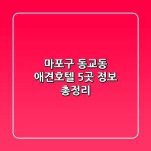 마포구 동교동 애견호텔 5곳 정보 총정리