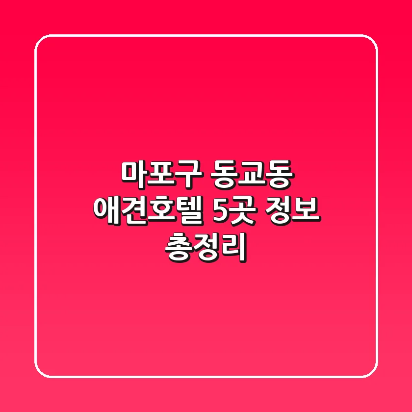 마포구 동교동 애견호텔 5곳 정보 총정리