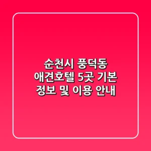 순천시 풍덕동 애견호텔 5곳: 기본 정보 및 이용 안내