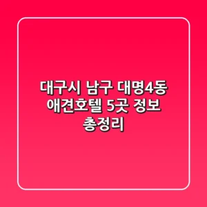 대구시 남구 대명4동 애견호텔 5곳 정보 총정리