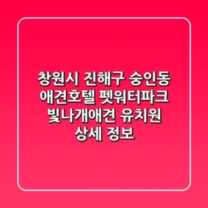 창원시 진해구 숭인동 애견호텔: 펫워터파크, 빛나개애견 유치원 상세 정보