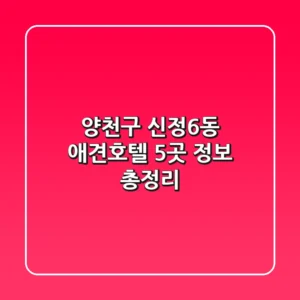 양천구 신정6동 애견호텔 5곳 정보 총정리
