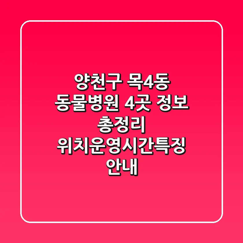 양천구 목4동 동물병원 4곳 정보 총정리 - 위치/운영시간/특징 안내