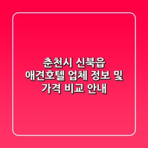 춘천시 신북읍 애견호텔: 업체 정보 및 가격 비교 안내