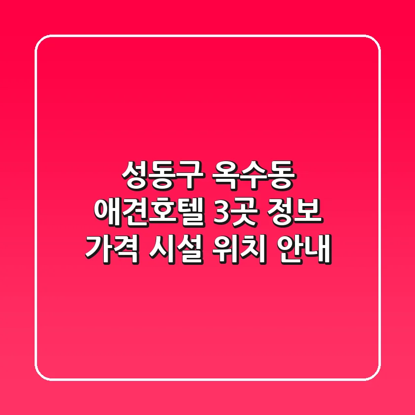 성동구 옥수동 애견호텔 3곳 정보 - 가격, 시설, 위치 안내