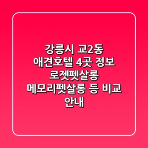 강릉시 교2동 애견호텔 4곳 정보: 로젯펫살롱, 메모리펫살롱 등 비교 안내