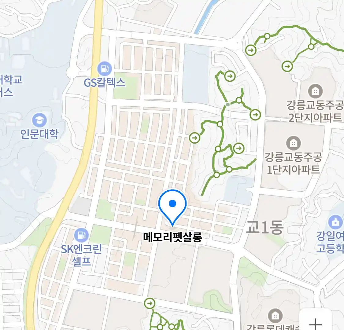 메모리펫살롱 위치