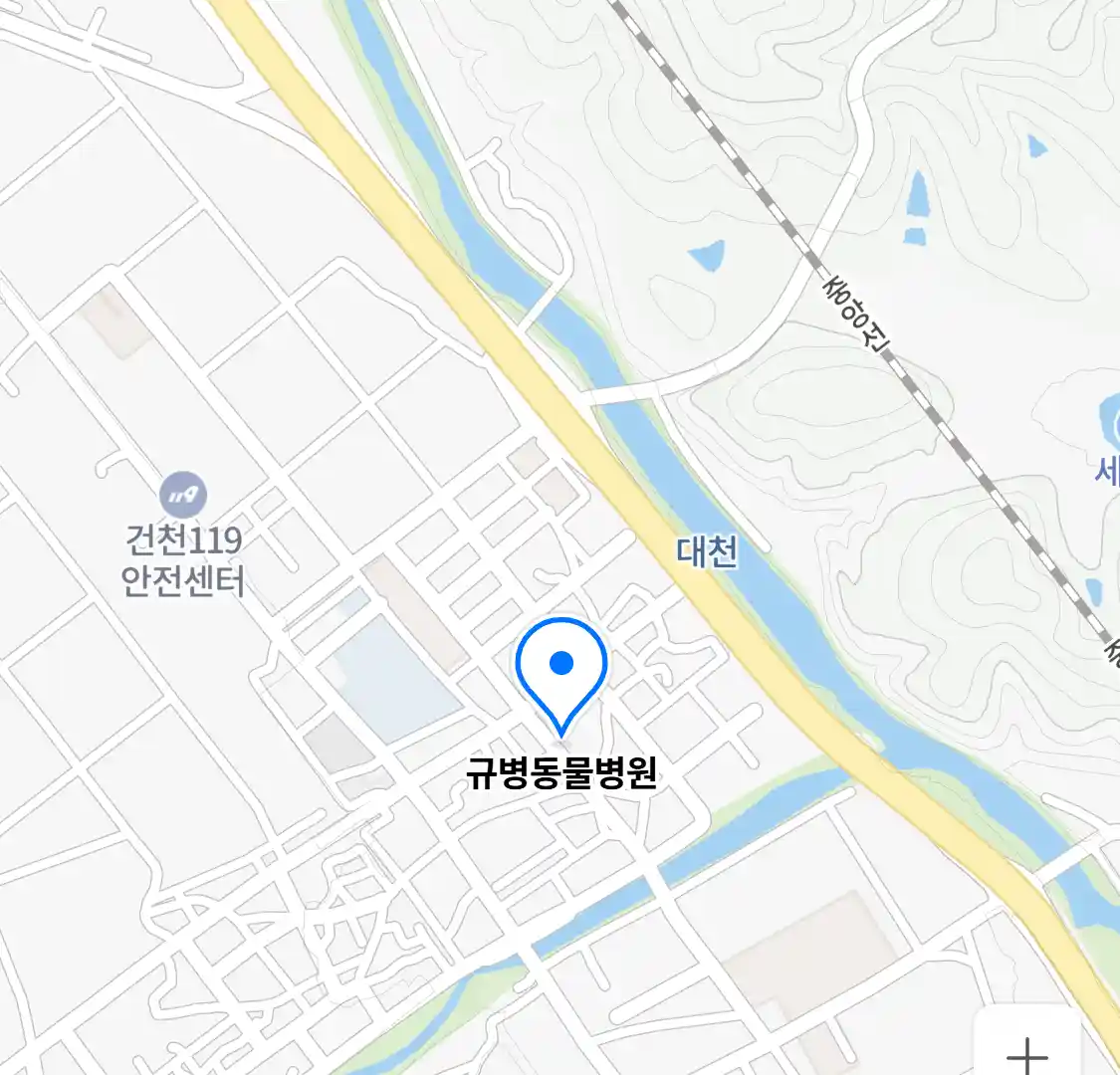 규병동물병원 위치