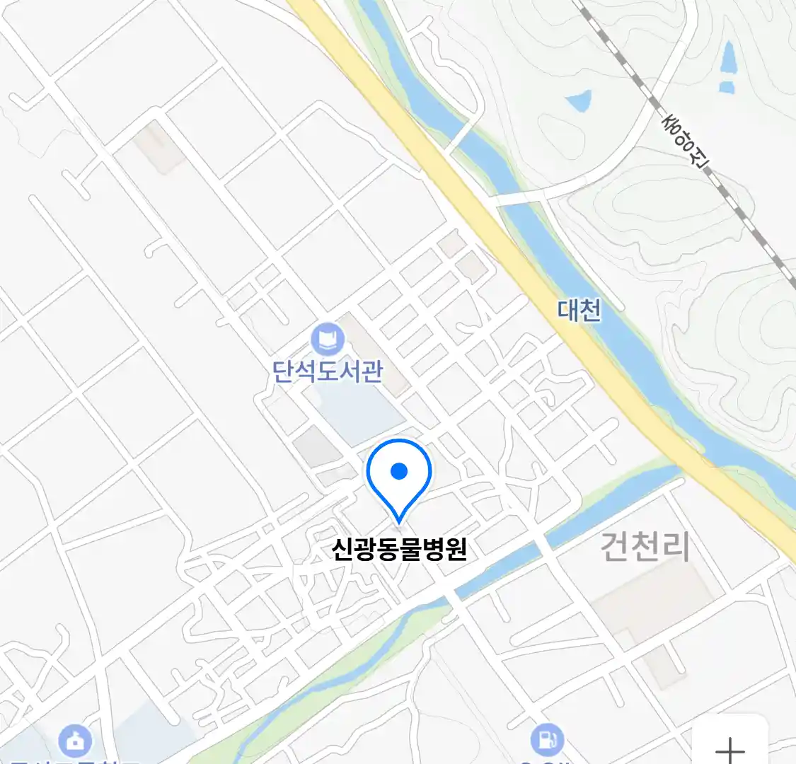 신광동물병원 위치