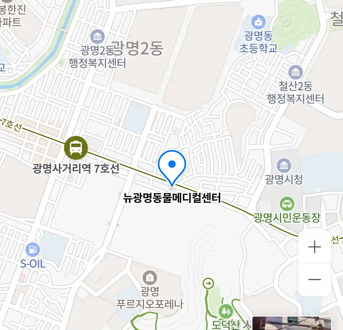 뉴광명동물메디컬센터 위치