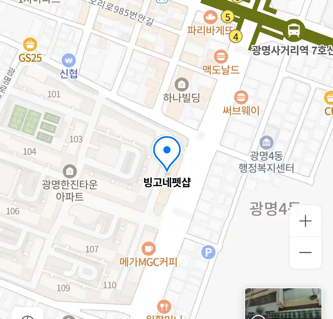 빙고네펫샵 위치